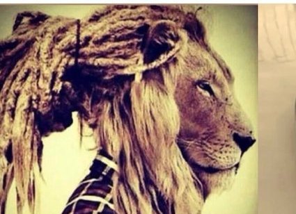 rutbbzuda's tweet photo. pensando em largar tudo, morar na praia, virar rastafari e fumar maconha o dia inteiro https://t.co/jtBvJQTIZj