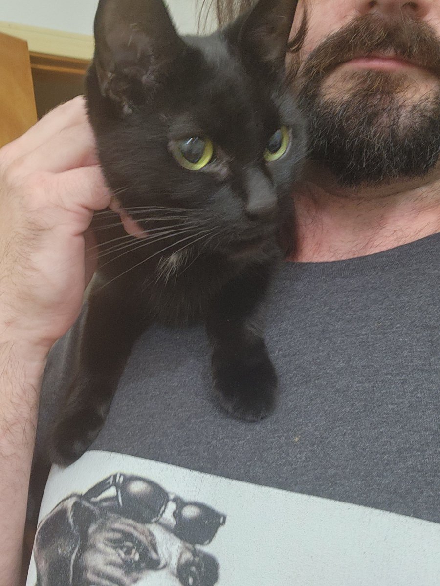 DackDishwasher's tweet photo. #Nigger #cattwt https://t.co/epO2uveBnm