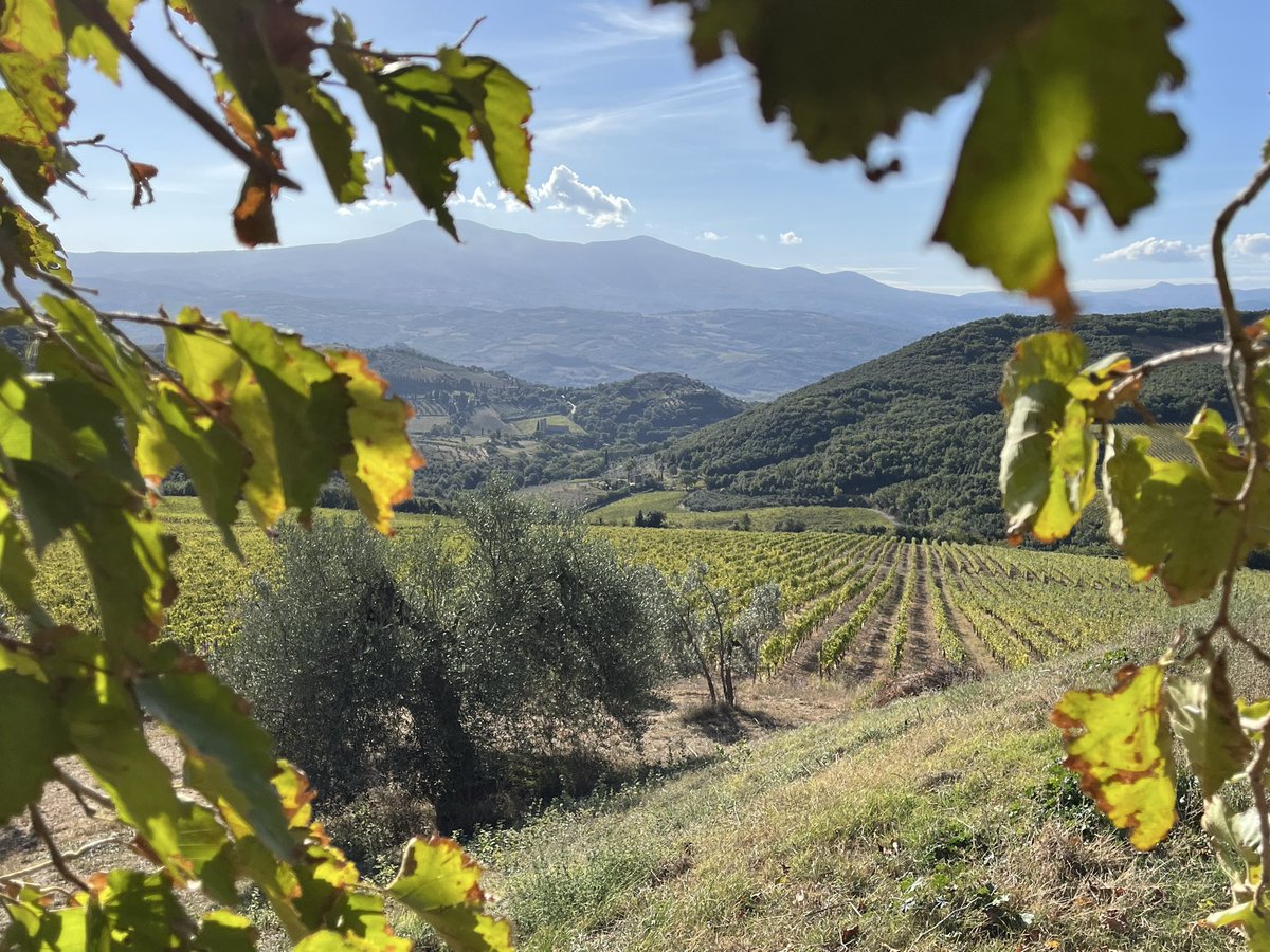 JohnMFodera's tweet photo. Ohhhh yeah! Another great day at La Magia. #RusticTuscanyTour 2026 https://t.co/fQzgShnulO