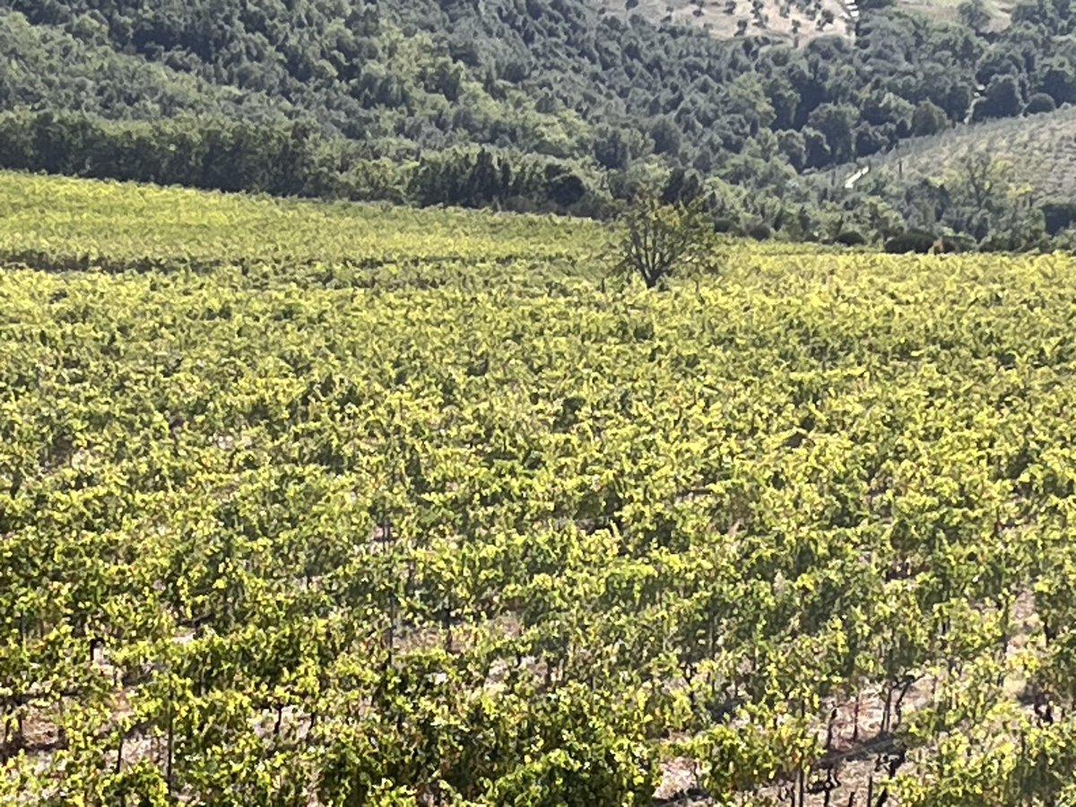 JohnMFodera's tweet photo. Ohhhh yeah! Another great day at La Magia. #RusticTuscanyTour 2026 https://t.co/fQzgShnulO
