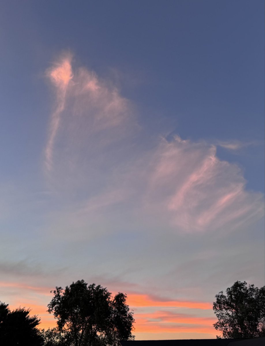 GreenEyedLade's tweet photo. #clouds  #sunset https://t.co/sibhXMVSqy