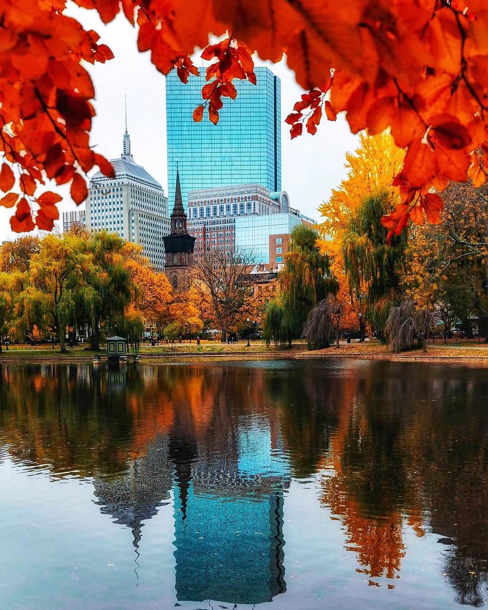 laugm580922's tweet photo. [Our campus Photography Club is hosting a 2-hour street shooting challenge this Saturday! Bring your gear, capture the city’s autumn vibes, and win cute polaroid prizes. Sign up via club website before Friday—can’t wait to see your works!] https://t.co/spUCNKDObE