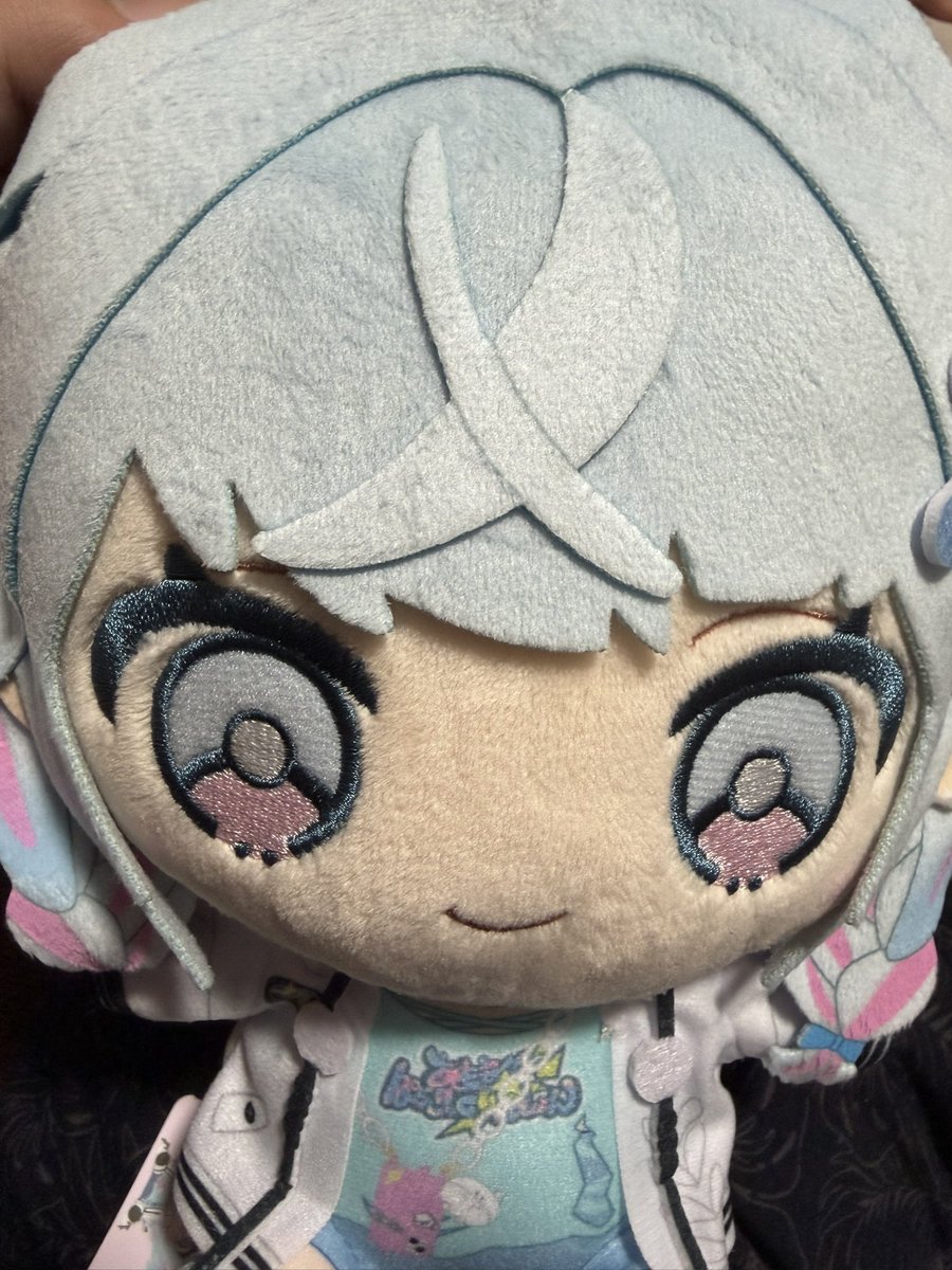 NbsUtw's tweet photo. 東京行ってすうちゃんのぬい買った〜！
すうちゃんかわいすぎる〜(,,>𖥦<,,) https://t.co/Yi5jp2c7CZ