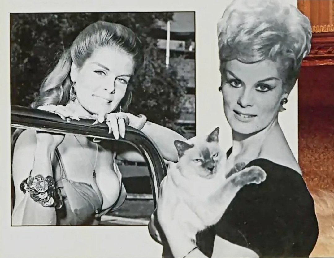 OlsenBenson2223's tweet photo. Born #OTD 9/19 Former Adult Performer &amp; Model Helga Sven. Career 1983-86' Helga was one of the first MILF's in the Golden Age Of Adult Film. Start as a club performer singing &amp; playing piano. Classy &amp; sassy she was a true beauty. We wish her a very Happy Birthday today. 🎂 🎉💗🎂 https://t.co/8ZRWLXQG7N