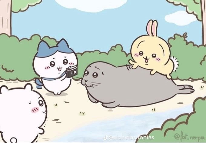 lilchiichi's tweet photo. 개뚱띠졸귀물범 인형 선물받음... 🦭🩷 https://t.co/MUZKbijX4X