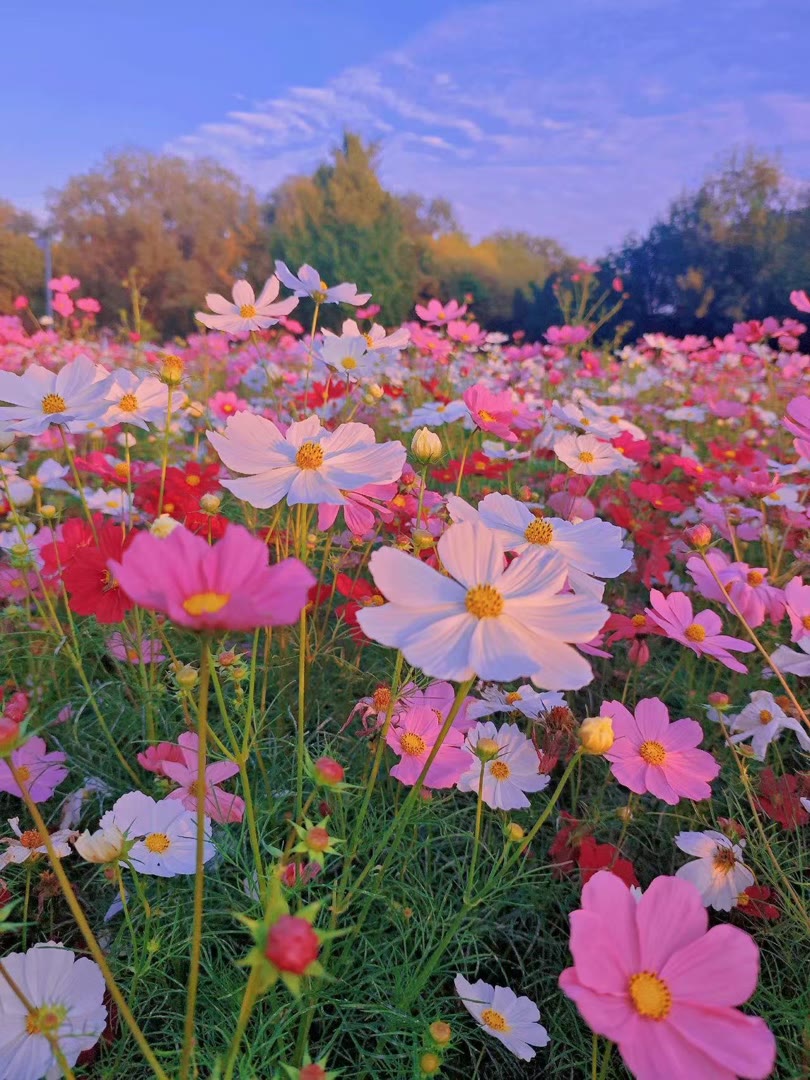 greem423657's tweet photo. She who has never loved, has never lived.
宁波☕海曙🧖江北🎁兼🎹职🤶镇海📚北仑🐖鄞州🧦🙀余姚🌈慈溪 #宁波  🐽👵个人联系→@ytup55678 https://t.co/zd0KCYfzJo