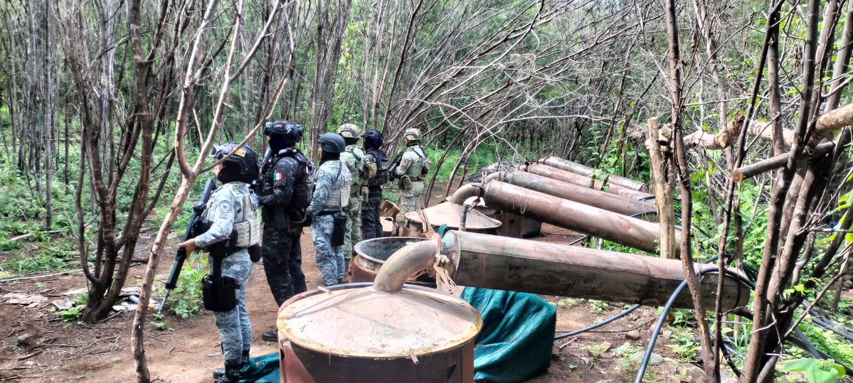 OHarfuch's tweet photo. Derivado de trabajos de inteligencia e investigación, en una operación coordinada de, @Defensamx1, @SSPCMexico @GN_MEXICO_ y autoridades estatales de Michoacán y de Guerrero, fueron localizados, desmantelados e inutilizados cuatro laboratorios clandestinos utilizados para la producción de drogas sintéticas en Michoacán y Guerrero.
Las acciones se realizaron en inmediaciones de Carácuaro, Michoacán, así como Zirándaro y Coahuayutla de José María Izazaga, Guerrero, como parte del seguimiento a grupos criminales dedicados a la elaboración, almacenamiento y distribución de narcóticos.
Durante las labores de desmantelamiento, las autoridades federales fueron agredidas con disparos de arma de fuego por integrantes de la delincuencia organizada. Pese a la agresión, las acciones continuaron hasta concretar la inutilización de los laboratorios.
En estos puntos fueron destruidas y aseguradas más de 10 toneladas de precursores y sustancias químicas, además de 27 reactores, 54 tanques de gas, 45 ollas, 57 tinas de gran capacidad, seis contenedores de 1,000 litros, secadoras, estufas, quemadores, bombas y una procesadora industrial, entre diverso equipo utilizado para la producción de droga.
Cada laboratorio desmantelado reduce la capacidad de producción de droga y afecta directamente la estructura logística y financiera de las organizaciones criminales.
En la presente administración se han inhabilitado más de 2,700 laboratorios clandestinos y áreas de concentración para la elaboración de metanfetamina en distintas entidades del país.