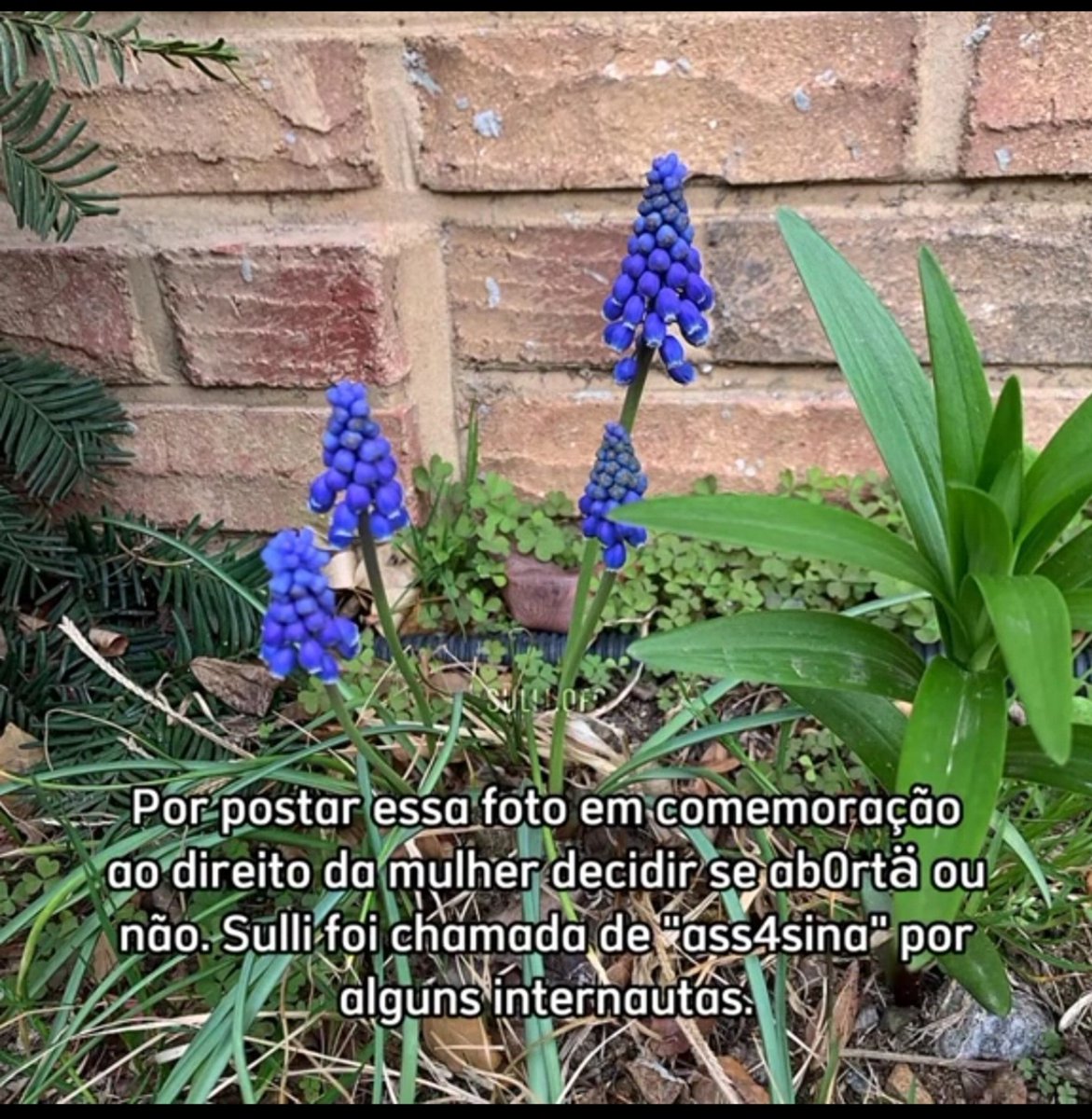 khaliliv_'s tweet photo. sulli foi muito além de uma idol usou sua voz para defender feminismo, LGBTQIA+, contra aborto, fazia parte do movimento "NO BRA" e outras pautas sociais, mesmo sofrendo constantes ataques e ameaças de mort* no país misógino nunca deixou de se posicionar e ser fiel a quem era https://t.co/j6dLwwD9pu