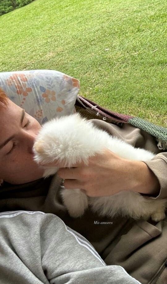 barcopazthinker's tweet photo. colo barco con puppies 🐶🤎!!! https://t.co/mQJrJRRaZN