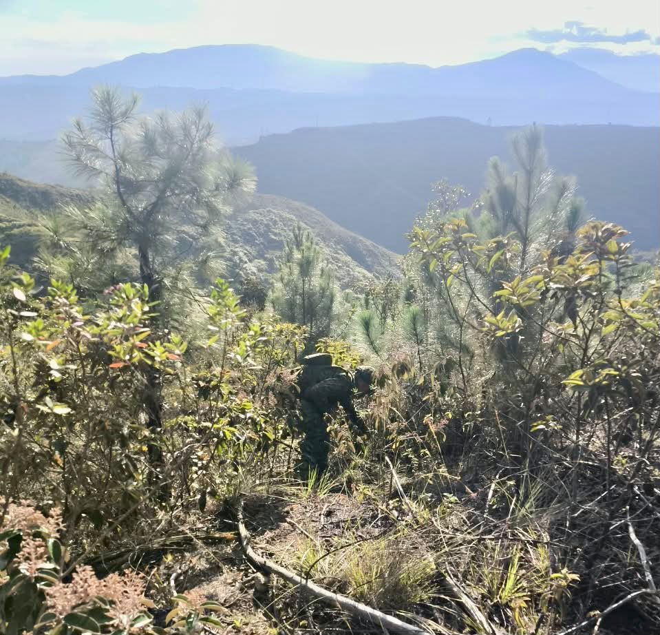 Ejercito_Div3's tweet photo. 🚨#LoÚltimo | En la vereda La Toma, municipio de Suárez, #Cauca, tropas de la Fuerza de Despliegue Rápido N5 localizaron y neutralizaron de manera controlada un dispositivo explosivo improvisado que habría sido instalado por integrantes de la Estructura Jaime Martínez.
La acción oportuna de nuestros soldados permitió cerrarle el paso a una amenaza que ponía en riesgo a la población civil y a las tropas desplegadas en el sector, mientras continúan las operaciones ofensivas para debilitar las capacidades criminales de esta estructura en el norte del #Cauca.
El @COL_EJERCITO mantiene la presión operacional y el control territorial para proteger a las comunidades y enfrentar el empleo indiscriminado de explosivos.
#ContundenciaOperacional