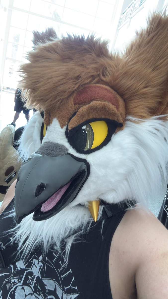 OwlGizmo's tweet photo. Come say hi https://t.co/hu3MZHMLN6