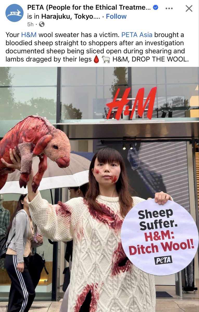 thewoolshire's tweet photo. Tell me you’ve never seen a sheep being shorn without telling me. https://t.co/h4Gy1XsEu2