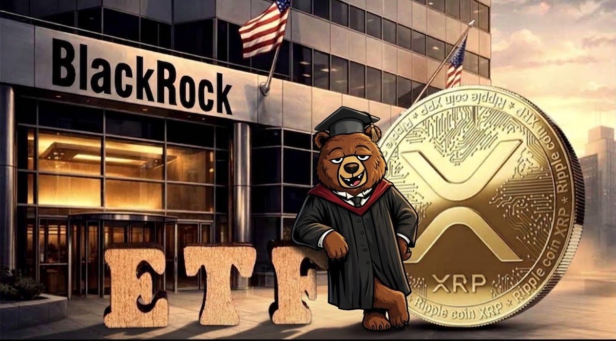 cmvasc_XRP's tweet photo. Class is dismissed, Wall Street. 🎓

The Bear just landed at BlackRock—and $XRP is leading the new curriculum. 🏛️🚀

Are you ready?

#XRP #BlackRock #TEDDY #ETF #NFT #GradedCards #RippleSwell https://t.co/4m0uEJKaLr