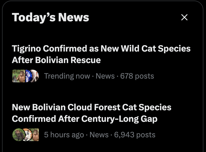 itsTigrino's tweet photo. oh. me on trending. by name. ok. https://t.co/nUQDchayuA