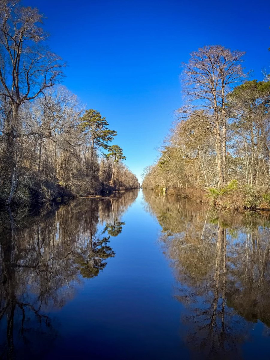 PaulOgawanb's tweet photo. Final snapshot of the Dismal Swamp Canal. https://t.co/CSoHRZkGWc