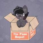 Photo by Silver Stream Zebracorn (@silverstreammlp)