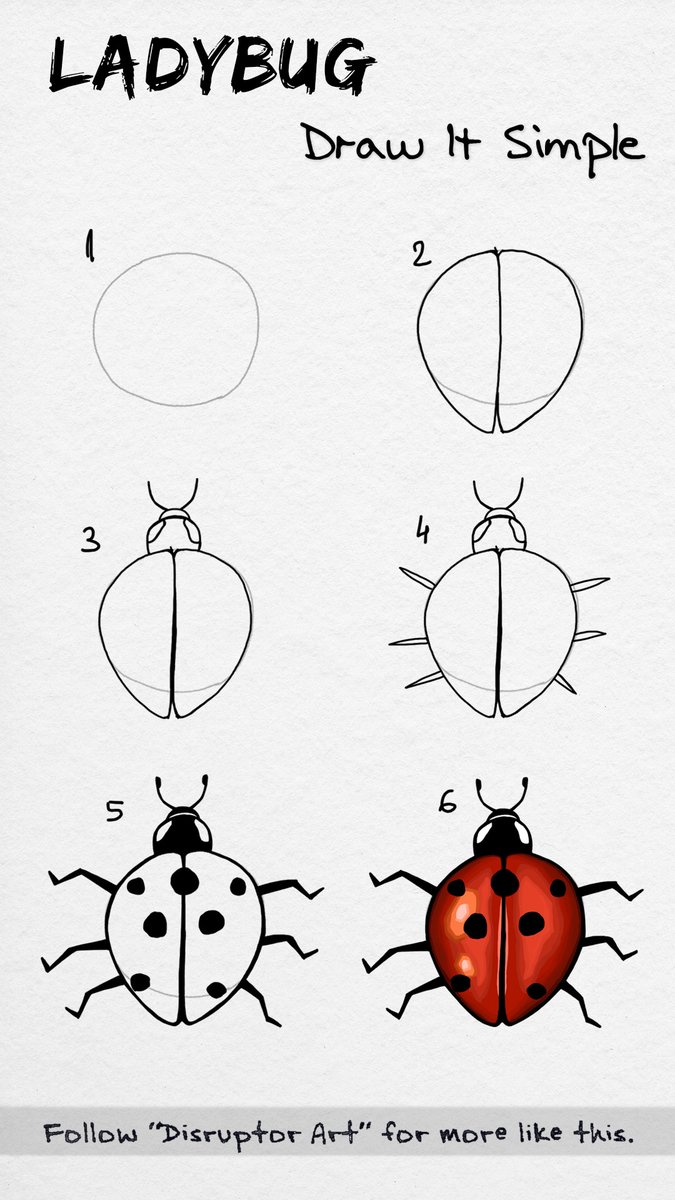 DrawItSimple_'s tweet photo. Ladybug — Draw It Simple #LadyBug #HowToDraw #DrawingInsects #insectos #insecte #ArtTutorials #DrawingTutorials https://t.co/n9pKMS2ttD
