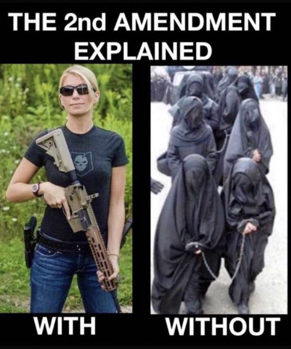 GirlWarehouse's tweet photo. @StephenMil48 Yes ... if not 

Women have their 2nd Amendment https://t.co/NeuPTqTLo3