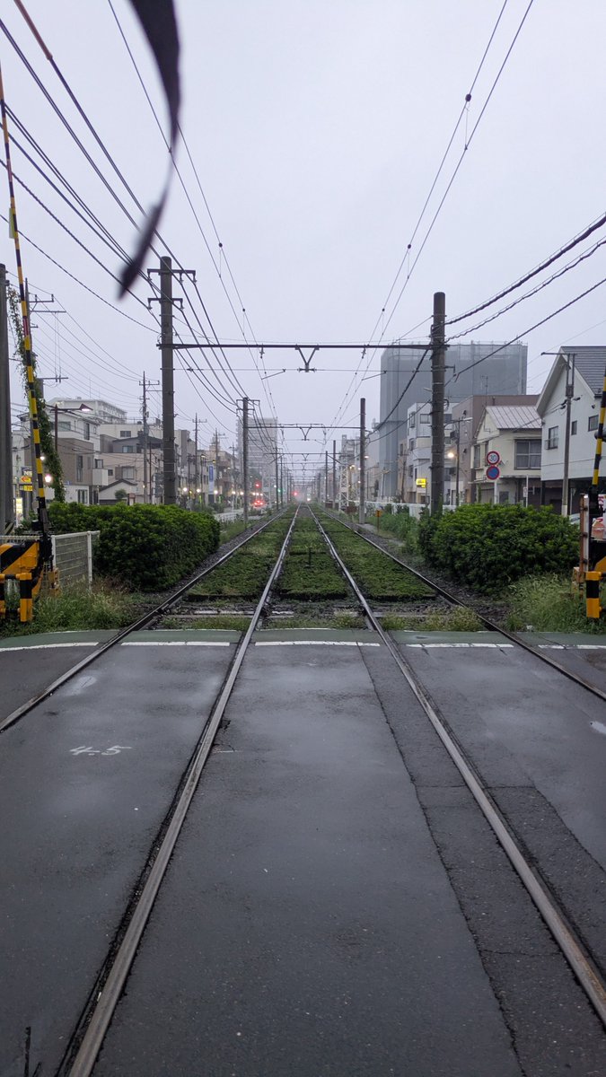 skapu's tweet photo. 曇天です
土砂降りで無くて良かったね https://t.co/mofU929Zuf