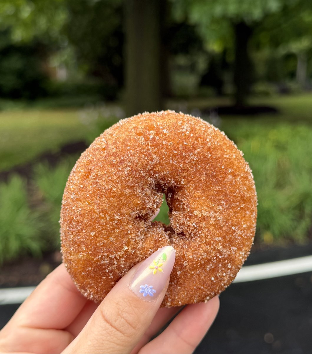 rickysteacup's tweet photo. first apple cider donuts of the season 🍎🍩 https://t.co/3trPHKboeO