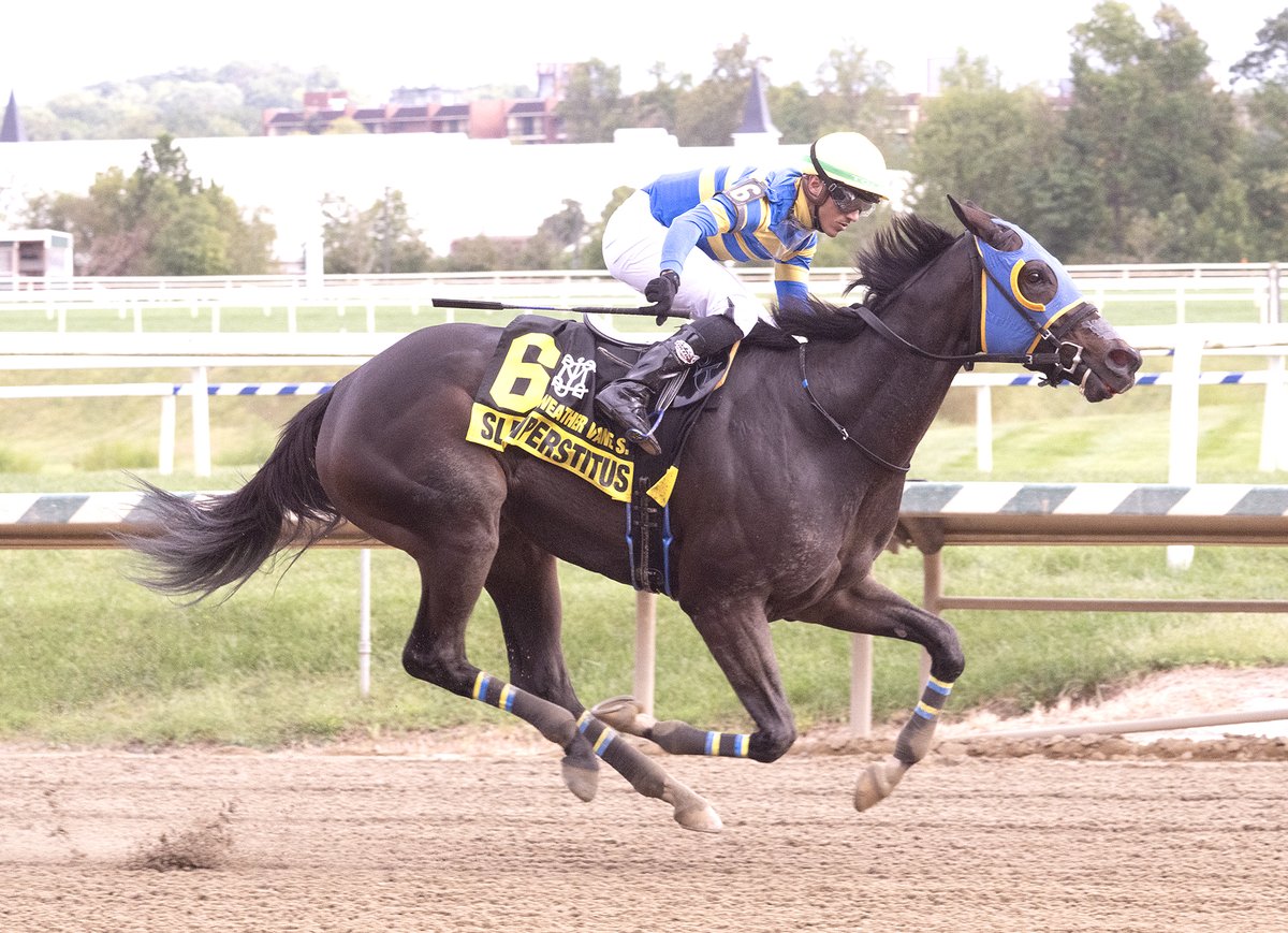 DanIllman_MJC's tweet photo. Slewperstitus ($9.20), never off the board in 12 starts, looked strong in the $100,000 Weather Vane Stakes @LaurelPark. Two winners today for @JevianToledo. @MarylandTB by Great Notion. @marylandmillion next up.
6-4-1-8 official. https://t.co/jXEwIYSti1