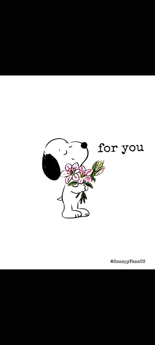 DAVP0606's tweet photo. @imnotnoni Que septiembre sea solo el primero de muchos meses saludándonos así ⭐ Porque para mí eres muy especial, y quiero celebrarte cada mes.

Te amo 🥰 https://t.co/PHEj7tTxEV