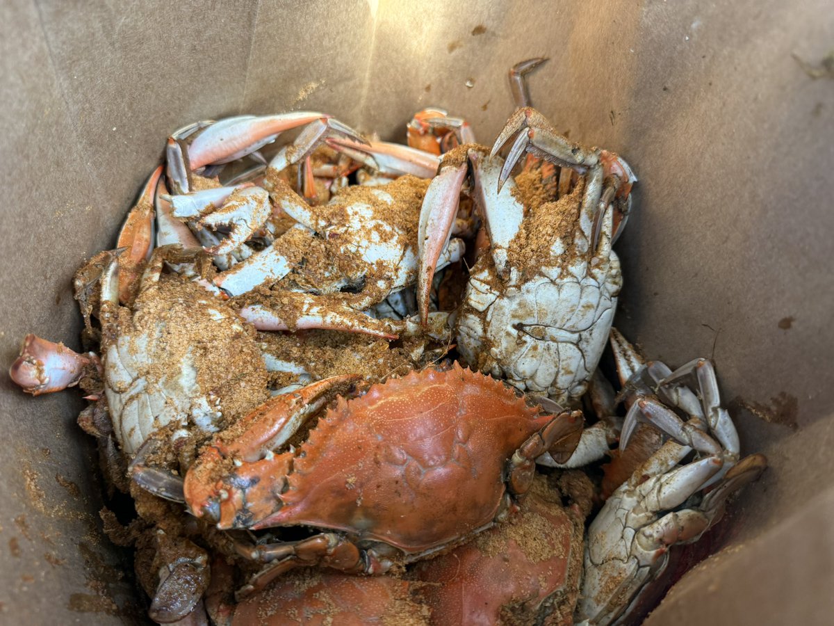 LPMaryland's tweet photo. Bushels of crabs, 100-piece chicken, new folks and familiar friends.  Live Free 🗽 🦀 🍗 https://t.co/FlvAD6x4Fl
