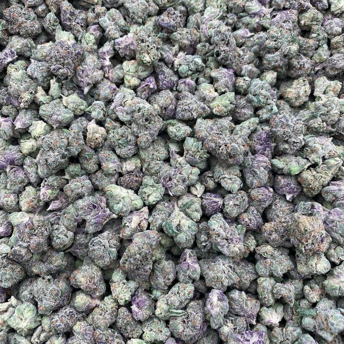 uk_thc_vapes's tweet photo. Fast Drop UK. 
Menu: Link in Bio
Weed in London, where cannabis use differs greatly from places like Amsterdam 💯 https://t.co/G2ux1VGIST