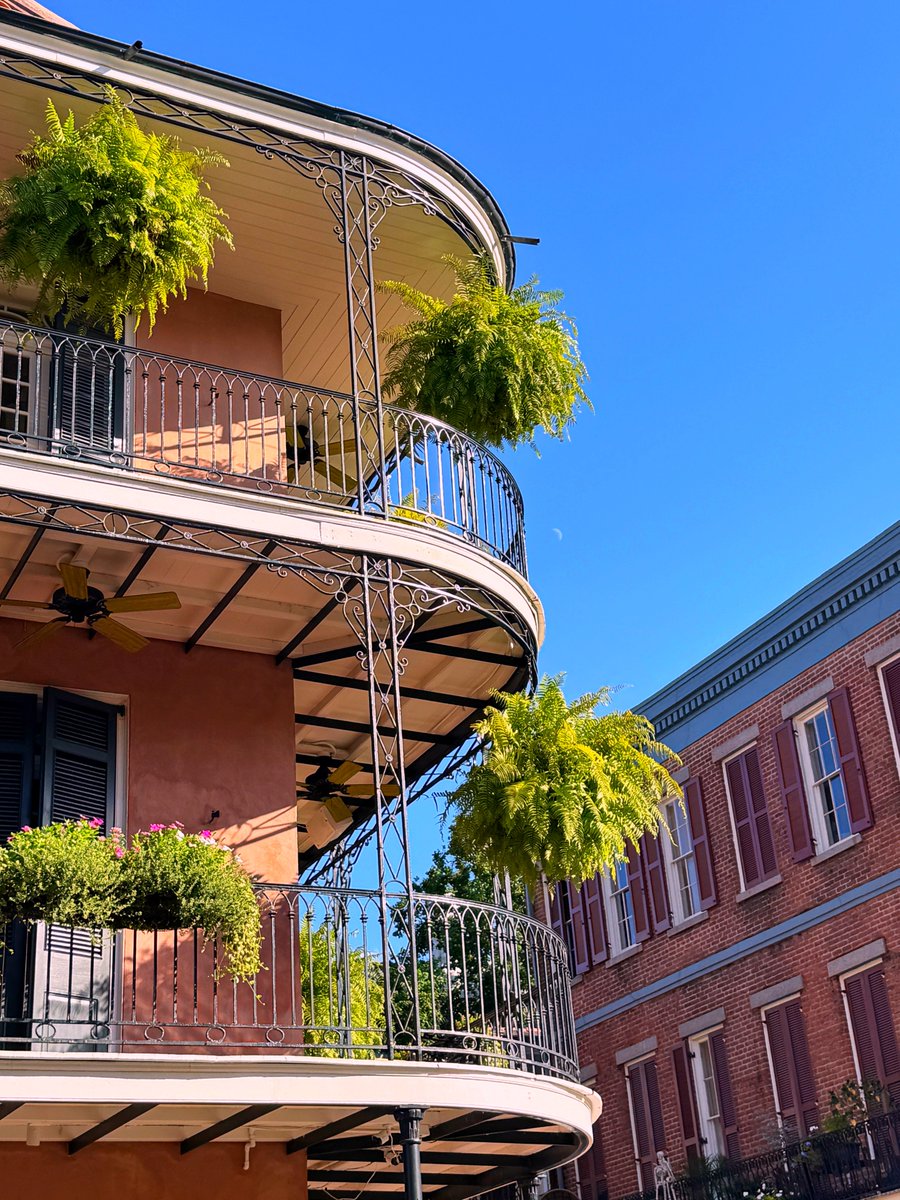 DavidMora's tweet photo. Dreamy afternoon on Dauphine 🌙 https://t.co/o7m3htqtcA