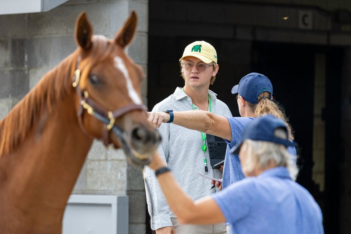 FedamoreStable's tweet photo. Thank you to everyone who came by the past few days to check out our Book 3️⃣  horses. See you tomorrow in the ring! 👊 https://t.co/9JuLar88oI