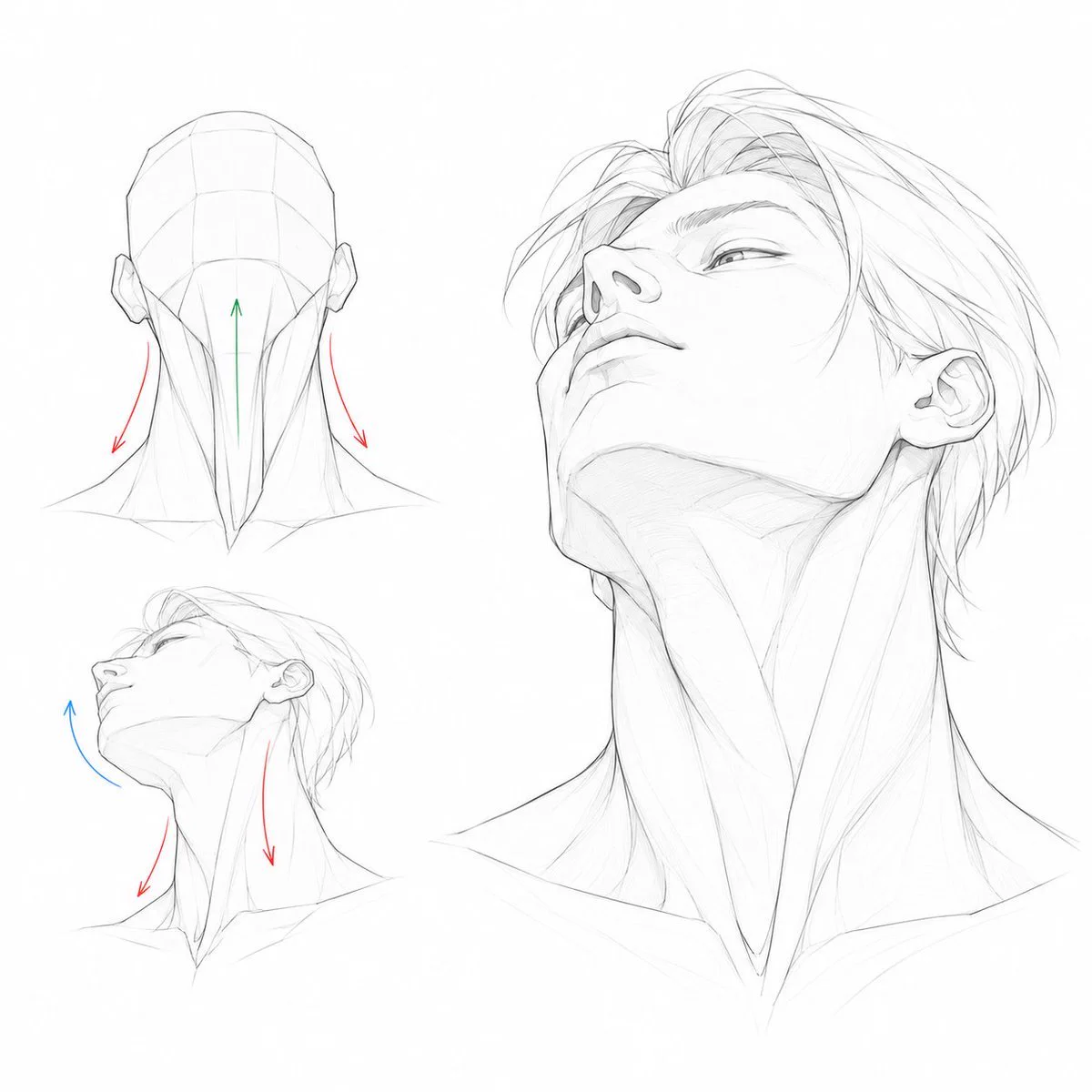 FormSketch on X: "Building on the basic neck study, this one focuses on ...
