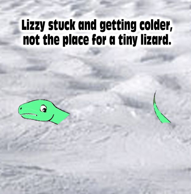 MrTimZak's tweet photo. FREE E-BOOK!!! Download my #rhyming #kidsbook #ebook #lizard #blizzard #snowing #winter #cold #snowday #winterwonderland The Lizard Stuck in a Blizzard #childrensbooks #BookGiveaway #BookMarketing #KindleBargain #FreeKindleReads for FREE https://t.co/S6qiUrYnqr https://t.co/sqh4I2PSuk