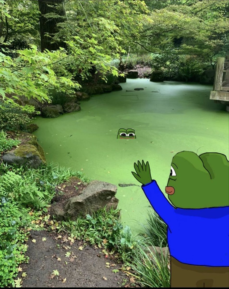 PepecoinNetwork's tweet photo. Welcome to the pond fren! https://t.co/w52teRh1uu
