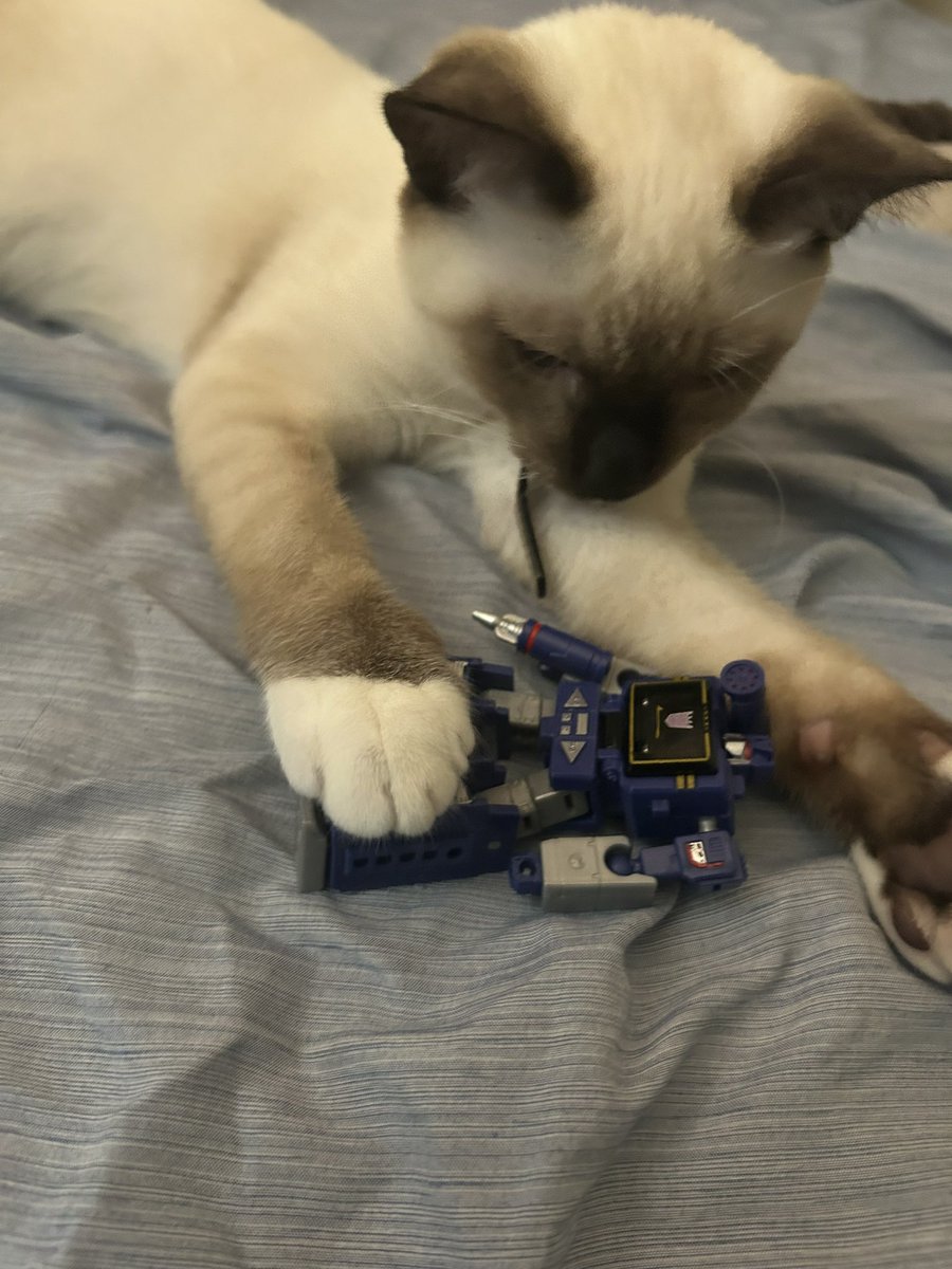 Some0neWith9IQ's tweet photo. stole my desk toy https://t.co/iG5rkjpimz
