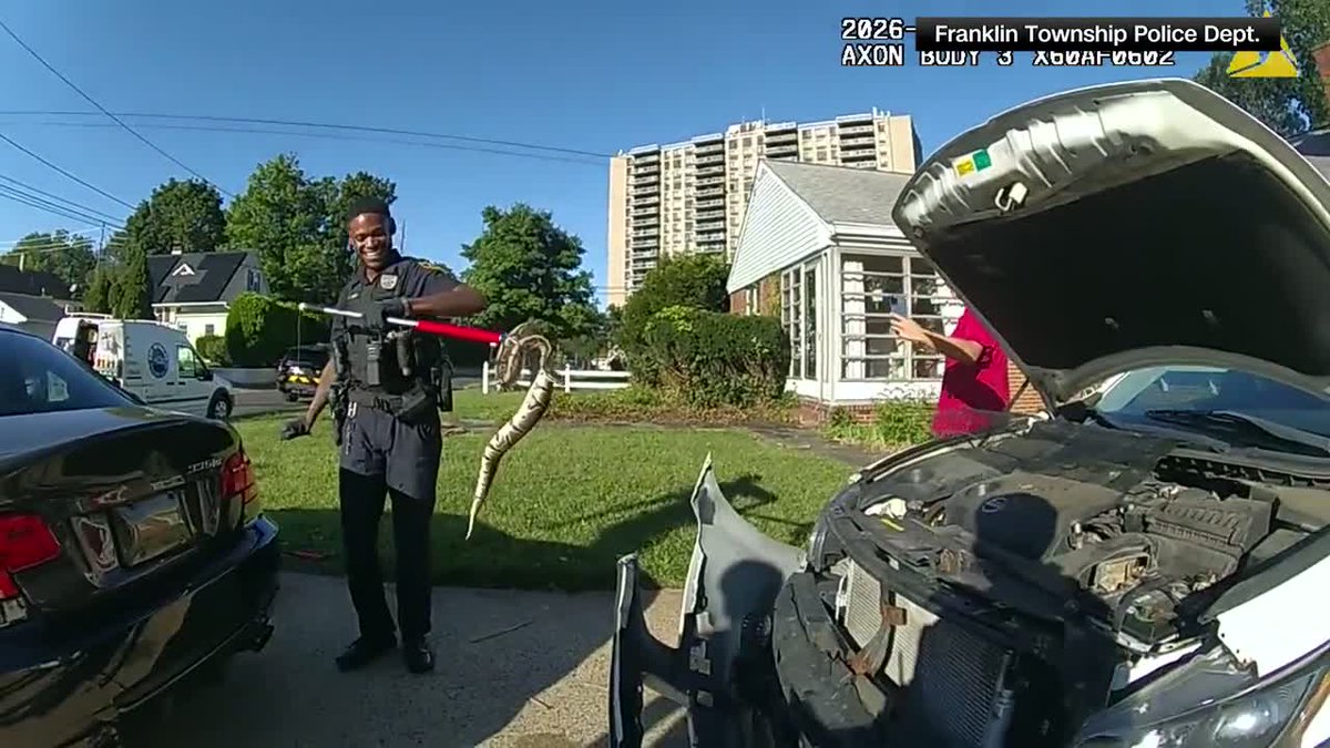 Local12's tweet photo. A couple of police officers came to the rescue for both a couple and a snake that put them in a slithery situation: https://t.co/WrfTgo60p8 https://t.co/NH9dt9bgRW