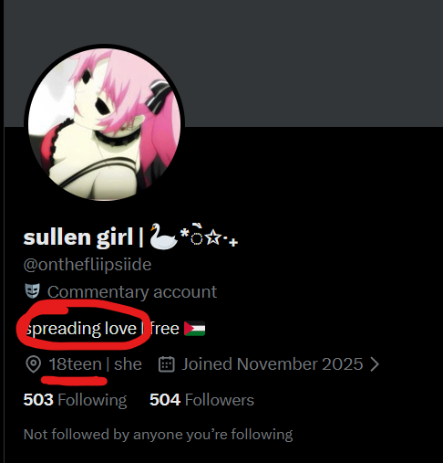 zillyhauu's tweet photo. for someone who claims to spread love and be non-judgemental you sure do love bringing down others #lulz also being 18 while downplaying minors grooming experience just because you were also a victim at 14 seems strangely borderline predatory on your part https://t.co/0zdxF1A7j2