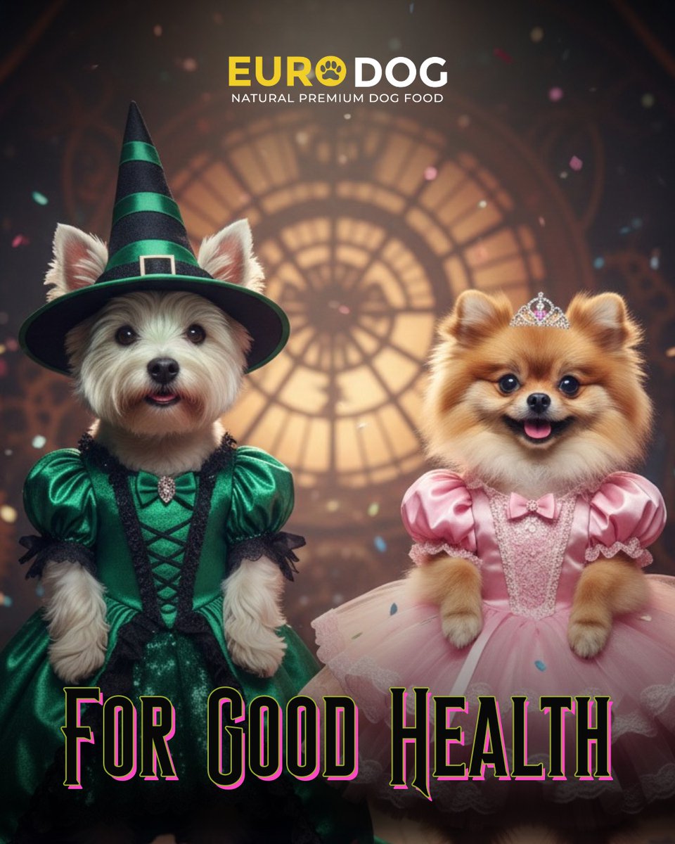FerminYafai's tweet photo. Healthy choices aren’t just for now—they’re for good. Choose Euro Dog and give your dog a lifetime of goodness. Available through Lazada and dealers nationwide. https://t.co/y9UmcvlCzR