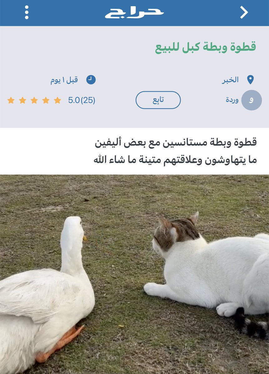 HarajOOC's tweet photo. 🥺🥺🥺 https://t.co/l9gPTXxzPD