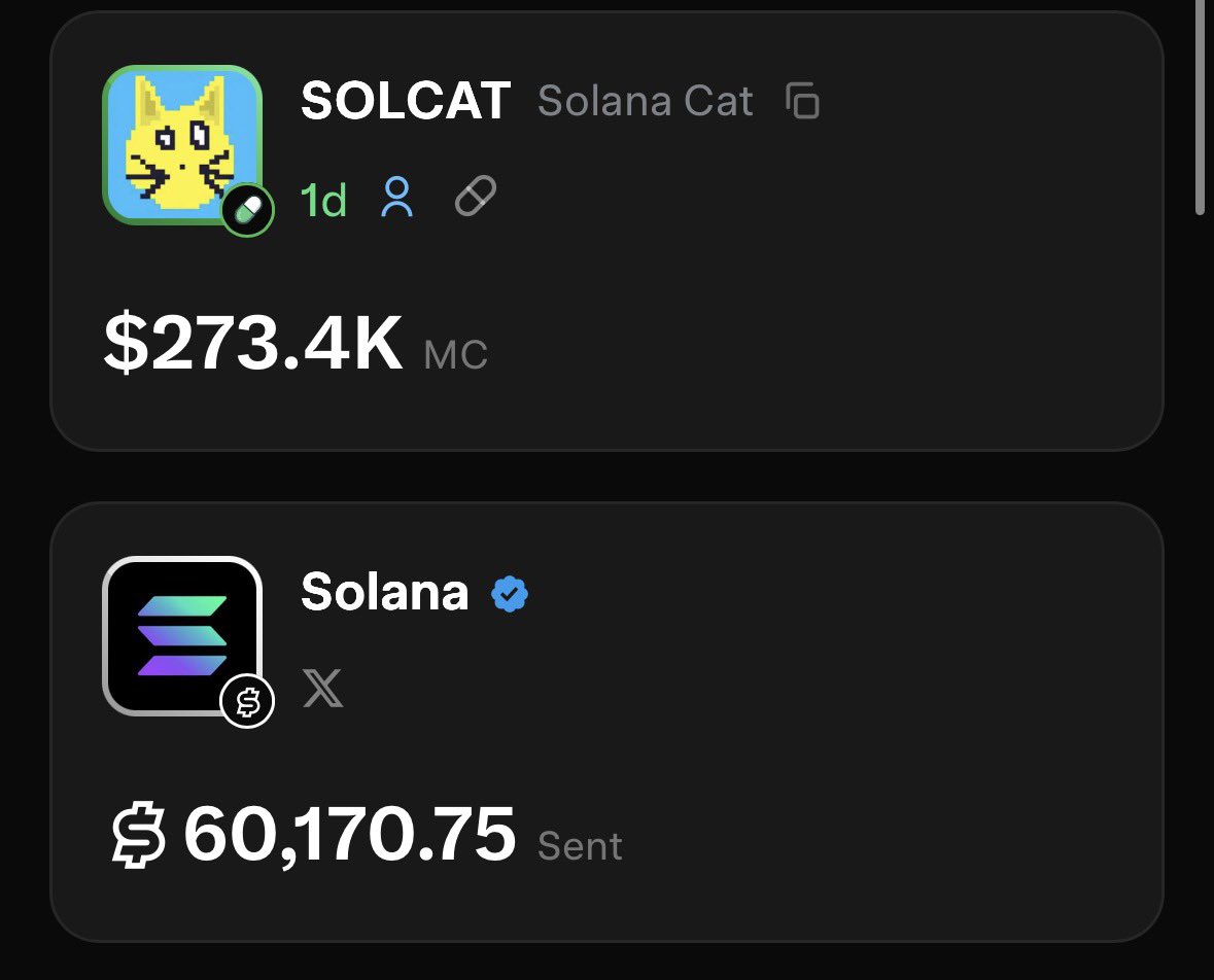PaidSolCat's tweet photo. @RapidCalls Come check out solana:9U1f18idDeySFnYrurxqT1f5n5nE4g4Uk5LLzP69bh1 thru @UsePaid we’ve sent @solana foundation $60k from trading fees https://t.co/M20MaCUnnk