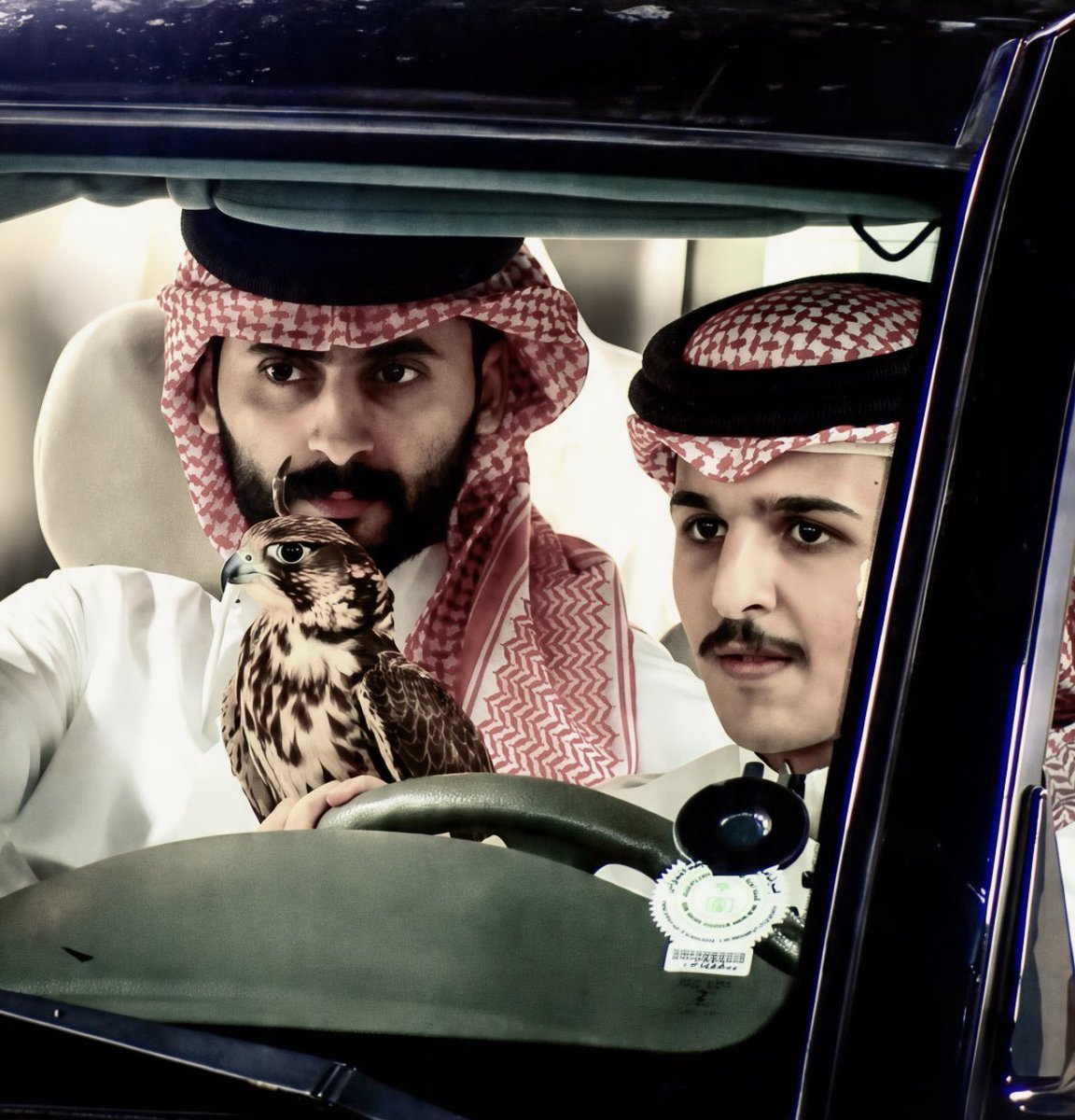 oi_9rw's tweet photo. الصقور🦅❣️. https://t.co/tzeof8wzWM