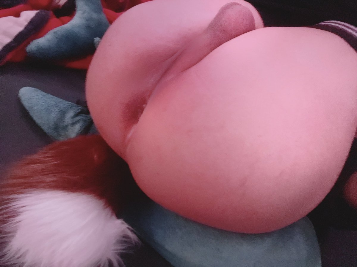 elseirius's tweet photo. 🦊🍑
#femboy https://t.co/G7QzWtaEFi