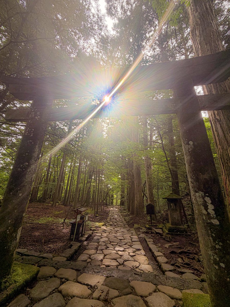 nikunick2929's tweet photo. 瀧尾神社の
運試しの鳥居⛩️

鳥居の穴を通る光が
とても綺麗でした✨

この光をそっとお福分けいたします

皆様に良いことが
山ほど起こりますように🙏

#お福分け #瀧尾神社 https://t.co/N2yMWO7RbC