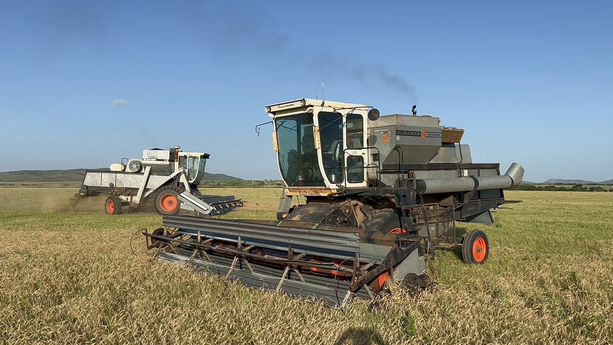 GleanerCombines's tweet photo. Let’s go!
📸 Creston Moore
📍Sayre, OK
#GoGleaner #Harvest26 #ProvenDesign #AchieveBetter https://t.co/AMPEPg7m5X