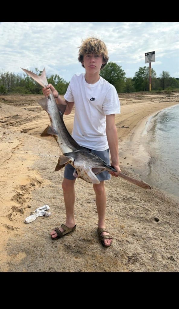 yelt3rw's tweet photo. Bait files and bait request available 
Dm for previews https://t.co/CjFEFn3NDy https://t.co/2yaPtq5c6u