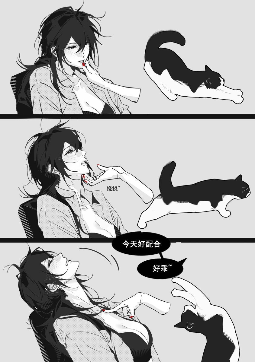 Yulan_lana's tweet photo. 猫儿伸懒腰🐈‍⬛ https://t.co/HzkR29HPM1