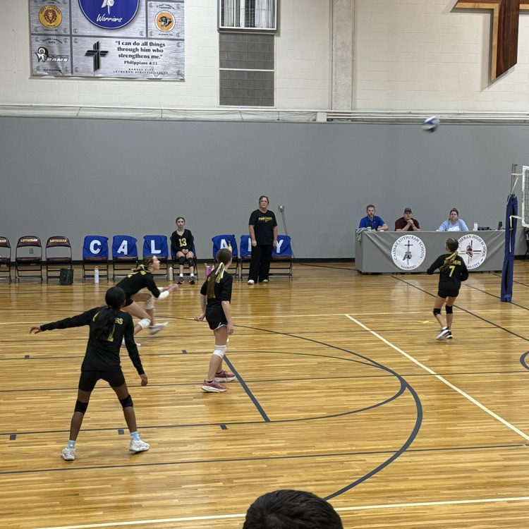 SPLSPanthers's tweet photo. The 7/8 team played so well today against Calvary and took it to 3 sets. We are so proud of you girls a how hard you have worked and come together as a team!  We are proud of you!!! #volleyball #KCLAL https://t.co/eJrZ7qsHXN