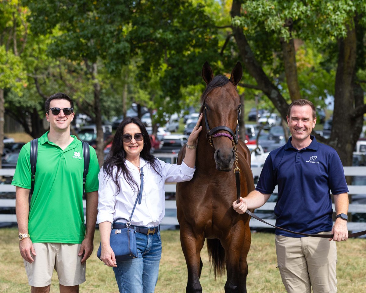 PinOakStud's tweet photo. Catching up with our recent #KeeSept additions! @coolmoreamerica 

Hip 543 - Practical Joke out of Bureau de Change. Consigned by @runnymedefarmky
Hip 631 - Golden Pal out of Golden Ami. Consigned by @HillnDaleFarm
Hip 866 - Practical Joke out of With Bells On. Consigned by @FedamoreStable
Hip 1156 - Gunite out of Salt Bae. Consigned by @CrestwoodKY
