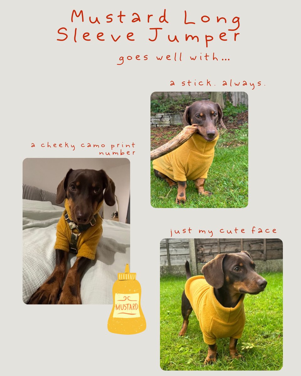 rileymitchellu0's tweet photo. Murphy’s styling guide—@bleusclawsetofficial edition 🤎 Styling tips from a tiny sausage? Yes, please. Use code MURPHY10. https://t.co/vlLGKy1EDj