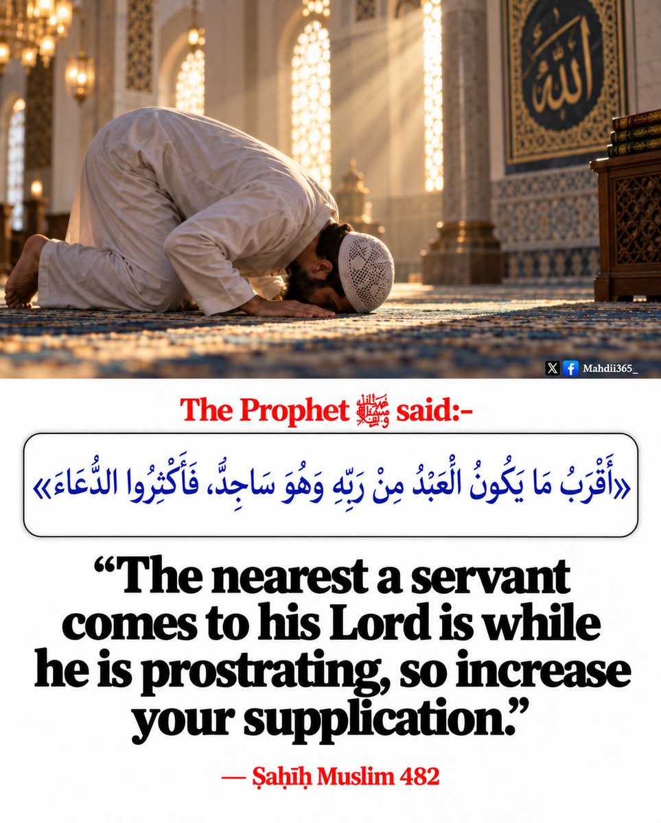Mahdii365_'s tweet photo. The Messenger of Allah [ﷺ] said: https://t.co/GM8sTOF2ti