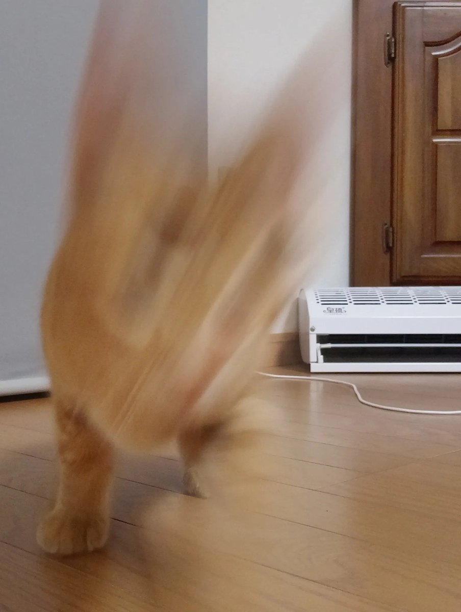 TimothyRicftum's tweet photo. She communicates not through language, but through images and thoughts—she sends visual images to animals and receives messages in return that are disturbingly clear. https://t.co/go4f5hQXtL